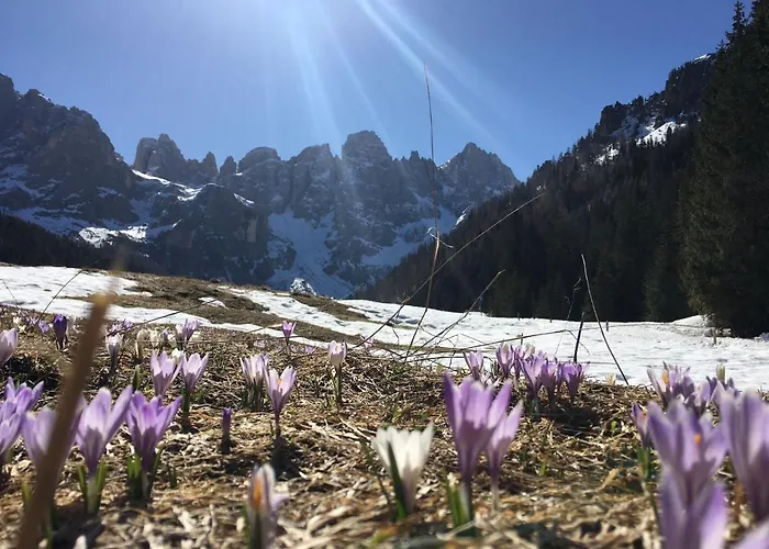 Apartment La Casa Degli Gnomi *